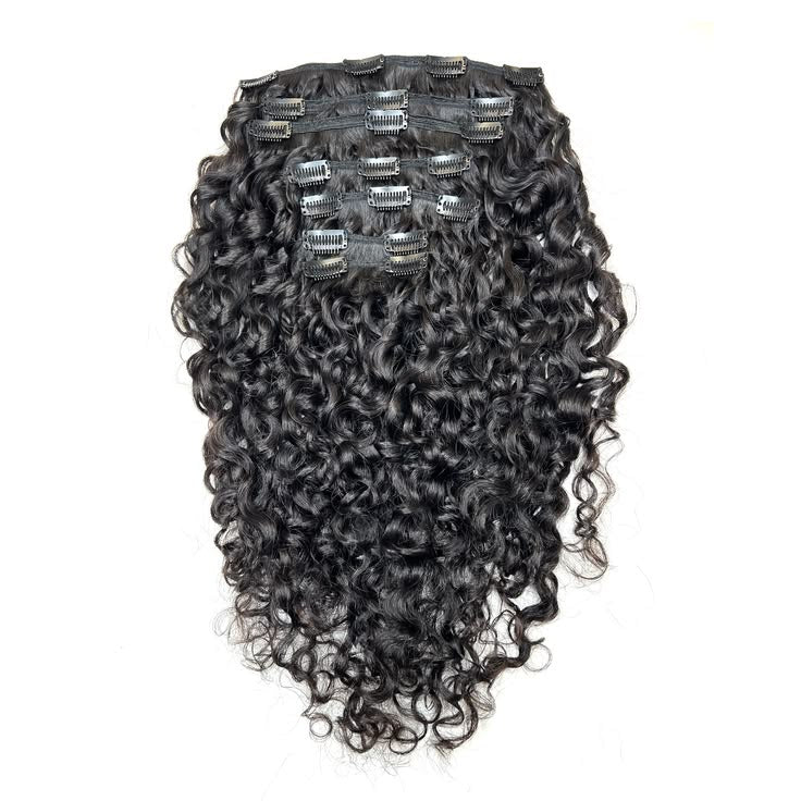 Raw Indian Curly Clip-Ins